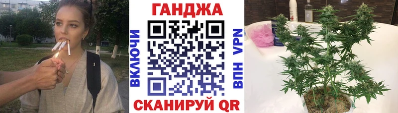 Шишки марихуана OG Kush  купить наркотик  Советск 